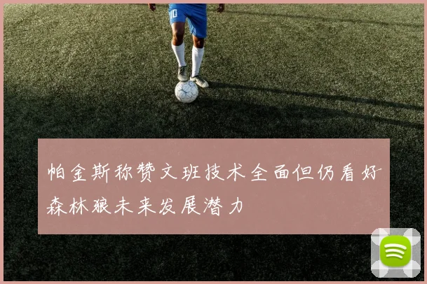 帕金斯称赞文班技术全面但仍看好森林狼未来发展潜力
