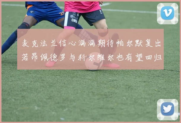 麦克法兰信心满满期待帕尔默复出若昂佩德罗与科尔维尔也有望回归